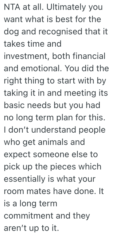 Screenshot 2025 07 08 at 8.23.26 AM His Roommates Took In A Stray Puppy, But He Refuses To Help Out With It